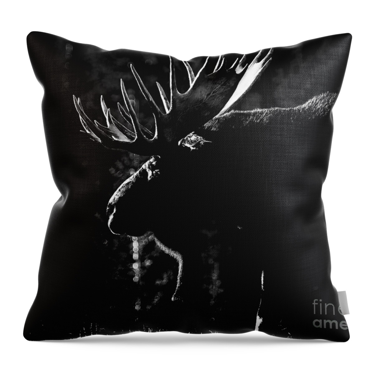 Black And White Wildlife Throw Pillow featuring the photograph Phantom of the Forest #1 by Jim Garrison