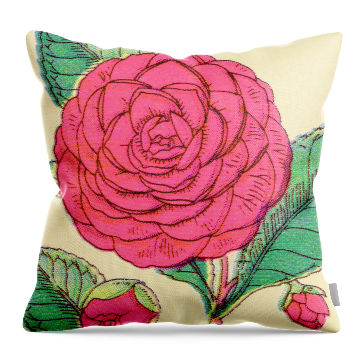 Bloom Throw Pillow featuring the drawing Pink Flower #1 by CSA Images