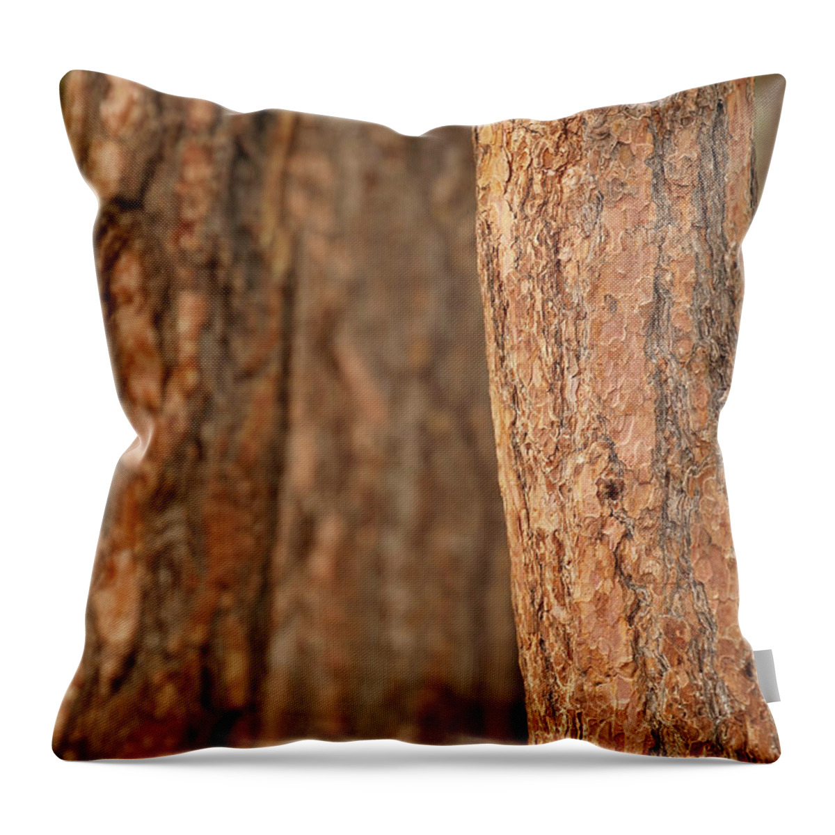 Bend Throw Pillow featuring the photograph Ponderosa pine bark detail #1 by Steve Estvanik
