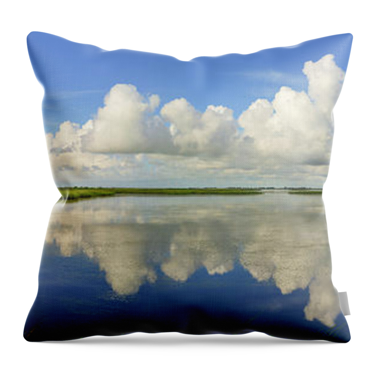  Throw Pillow featuring the photograph Port Bay Pano #1 by Christopher Rice
