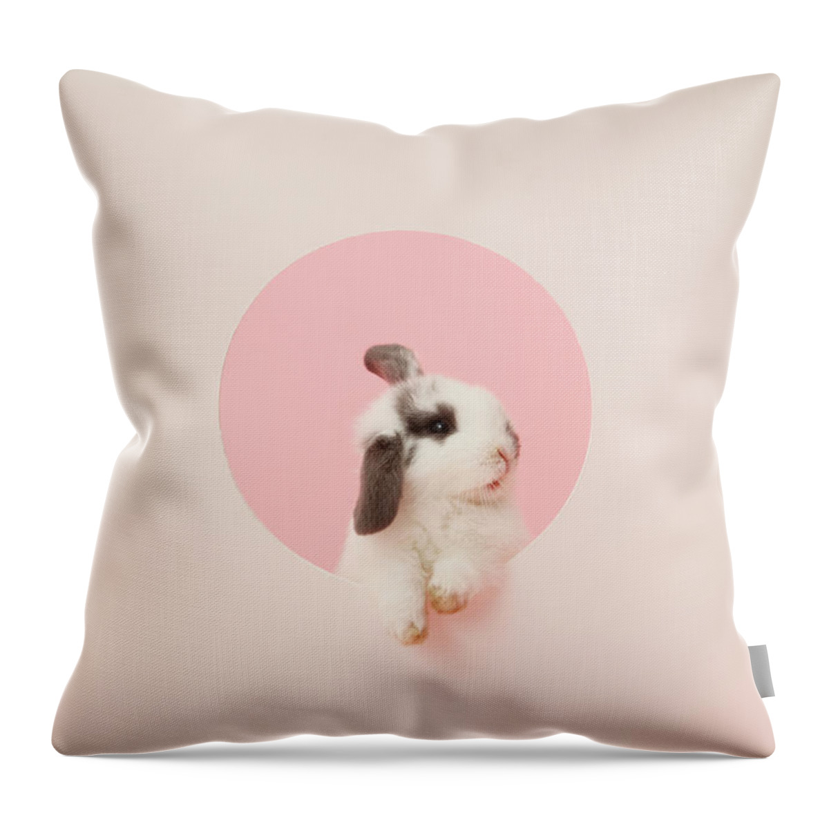 Pets Throw Pillow featuring the photograph Rabbit In A Hole #1 by Mash