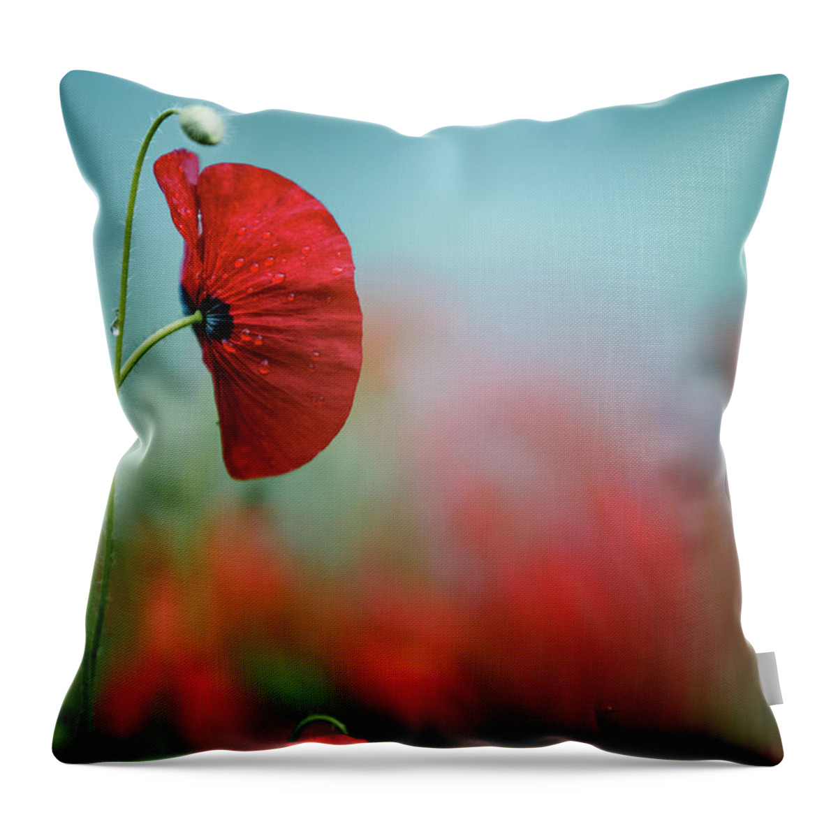 Poppy Throw Pillow featuring the photograph Red Corn Poppy Flowers #1 by Nailia Schwarz