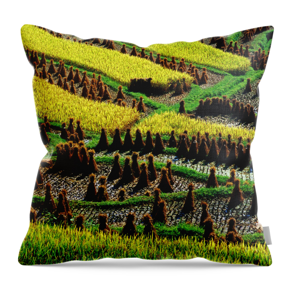 Rice Paddy Throw Pillow featuring the photograph Ricescapes, China, North-east Asia #1 by Richard I'anson