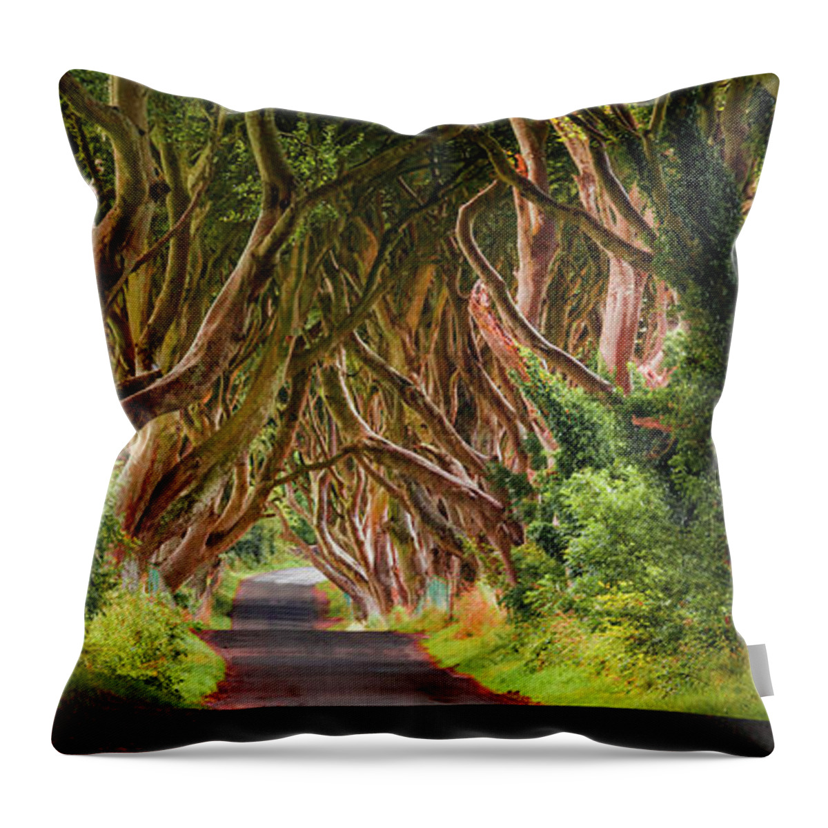 Estock Throw Pillow featuring the digital art Road Under Trees #1 by Olimpio Fantuz