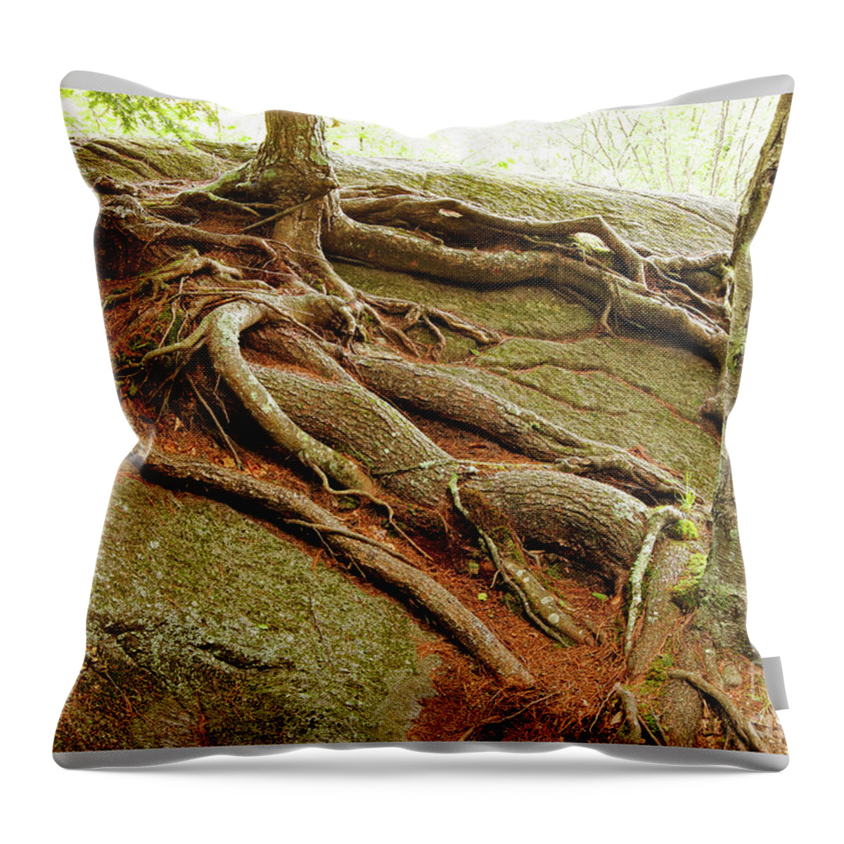 Farmington River Collection Throw Pillow featuring the photograph Roots on Rock #1 by Tom Cameron