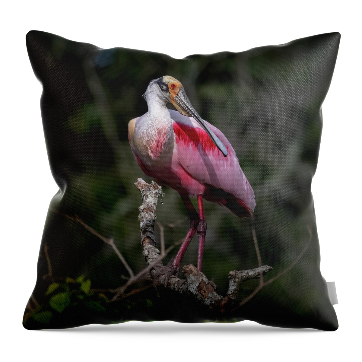 Rookery Throw Pillow featuring the photograph Roseate Spoonbill #1 by JASawyer Imaging