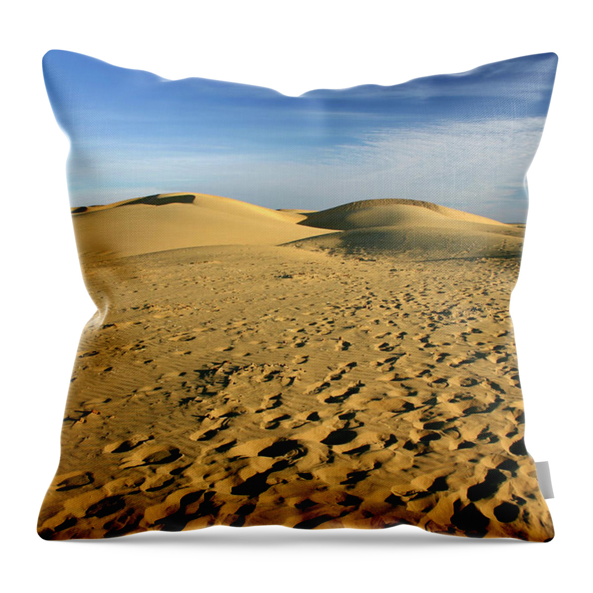 Scenics Throw Pillow featuring the photograph Sand Dunes #1 by Bremecr