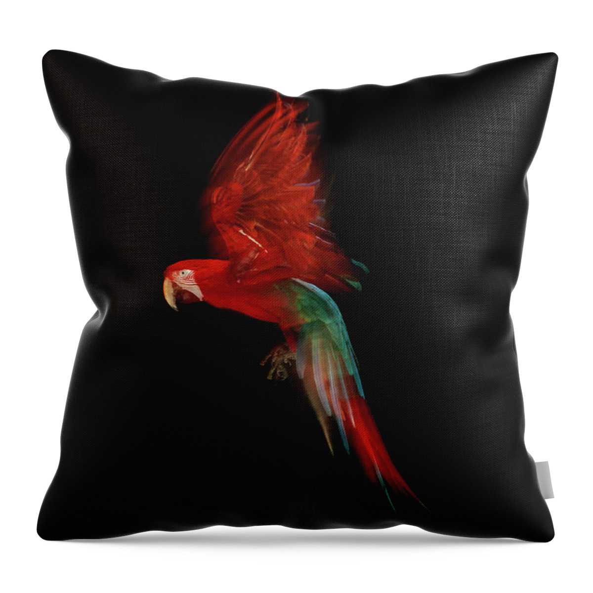 Motion Throw Pillow featuring the photograph Scarlet Macaw Parrot In Flight #1 by Tim Platt