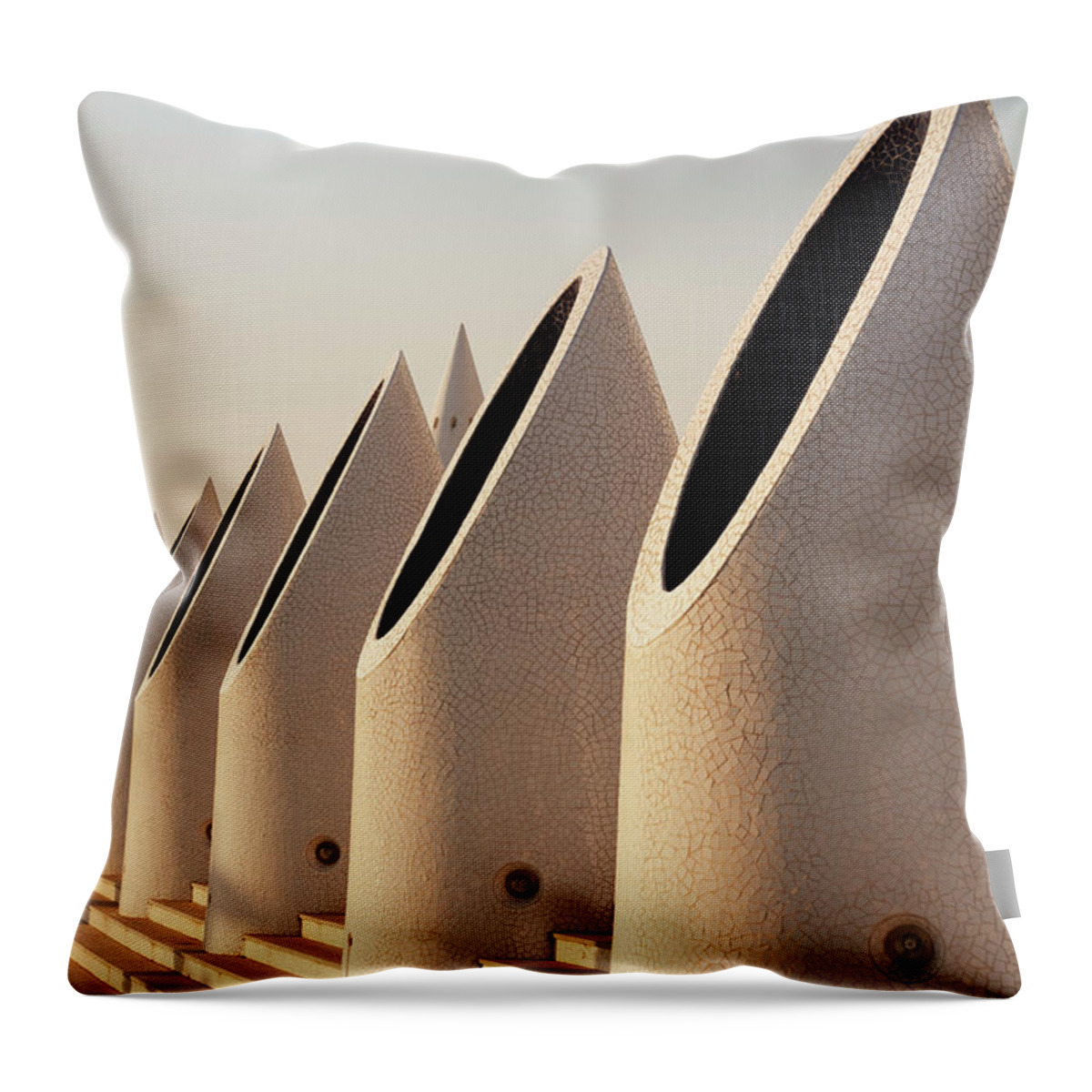 In A Row Throw Pillow featuring the photograph Science Museum In Valencia, Spain #1 by David Clapp