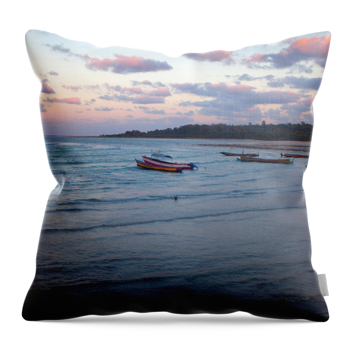 Scenics Throw Pillow featuring the photograph Small Boats Floating,bharatpur #1 by Partha Pal