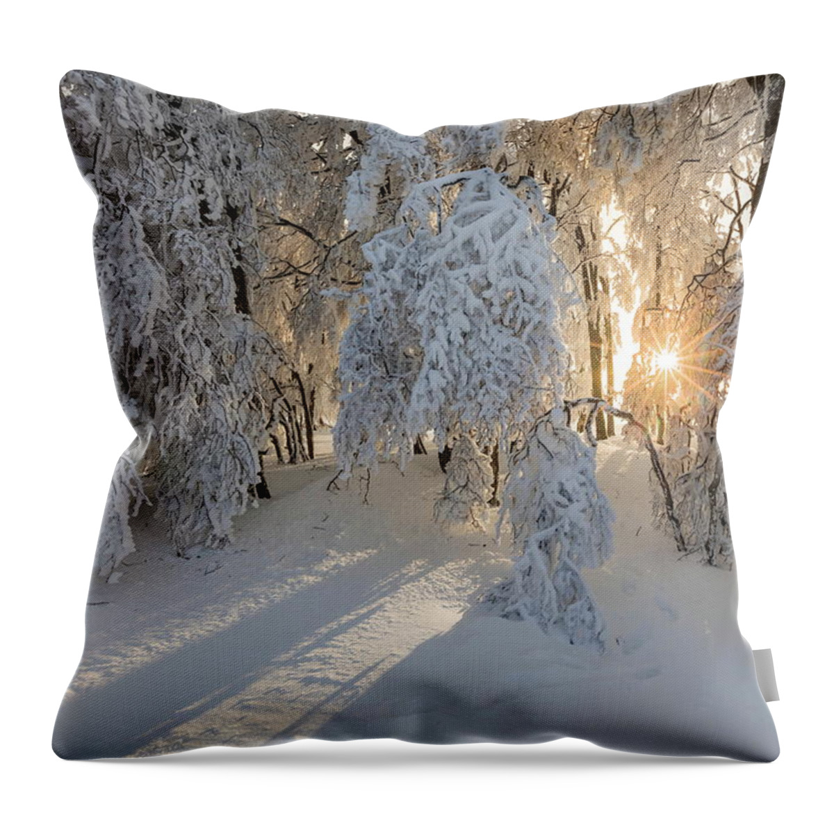 Estock Throw Pillow featuring the digital art Snow Covered Trees #1 by Reinhard Schmid