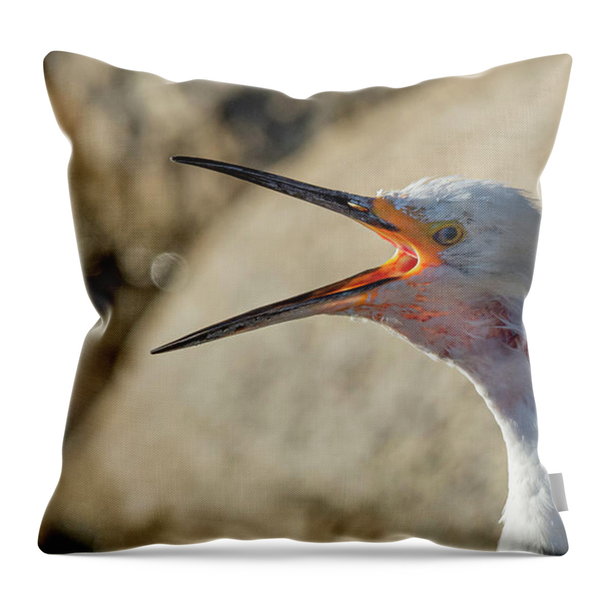 Snowy White Egret Throw Pillow featuring the photograph Snowy White Egret 5 #1 by Rick Mosher