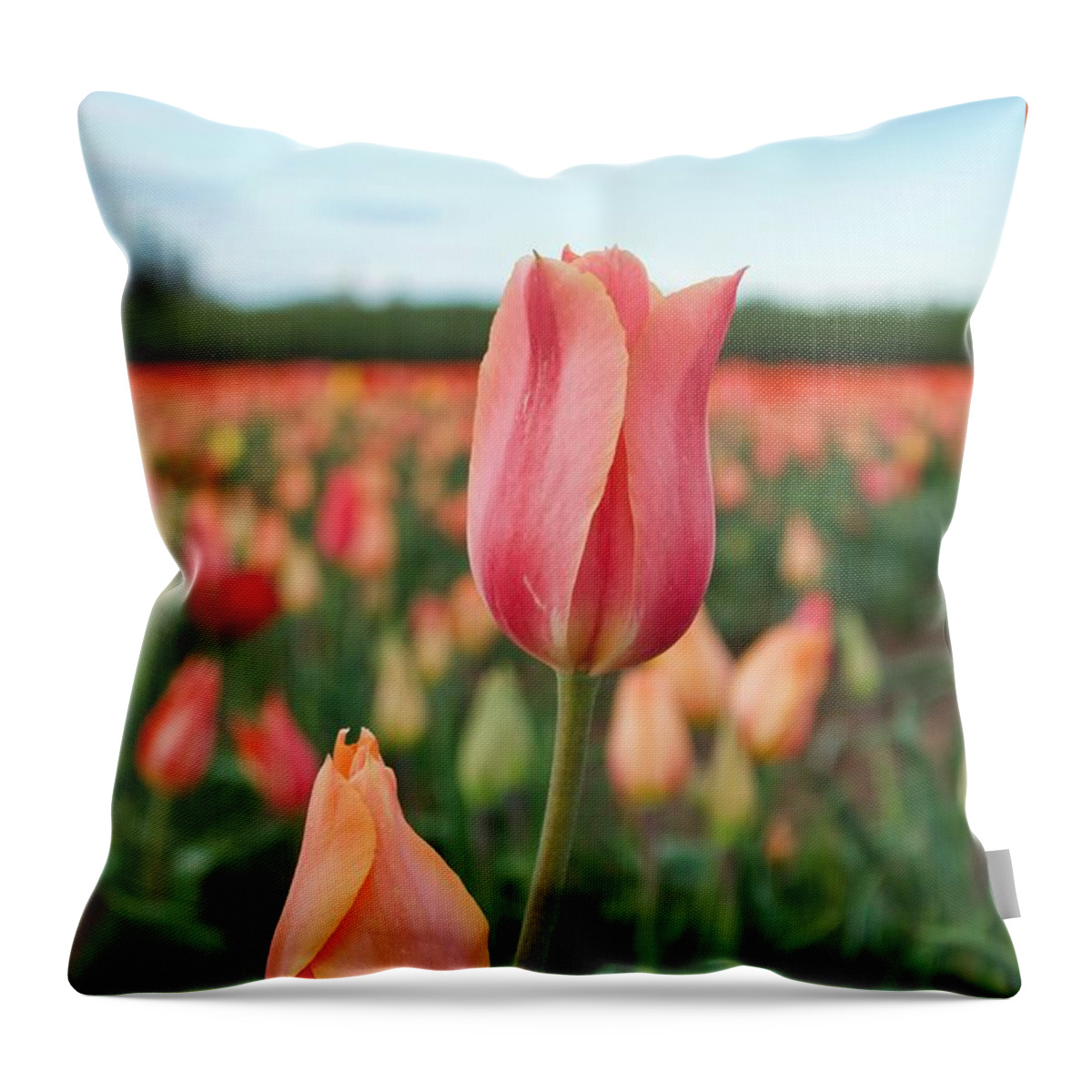 Tulip Throw Pillow featuring the photograph Standing Tall #1 by Brian Eberly