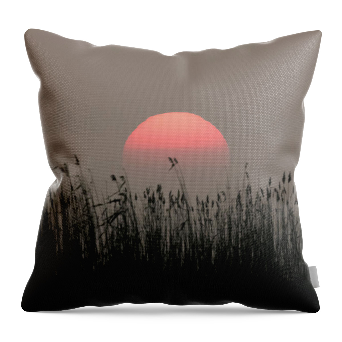 Flyladyphotographybywendycooper Throw Pillow featuring the photograph Sundown #1 by Wendy Cooper