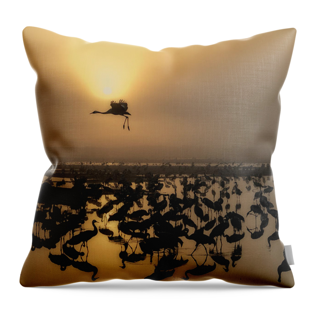 Cranes Throw Pillow featuring the photograph Sunrise #2 by Uri Baruch