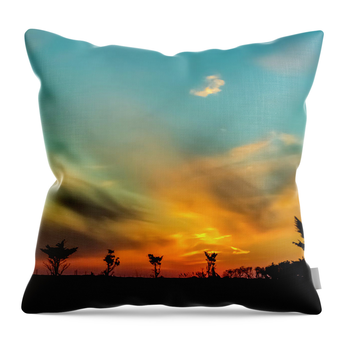 Sunset Throw Pillow featuring the photograph Sunset Silhouettes #1 by Cathy Kovarik