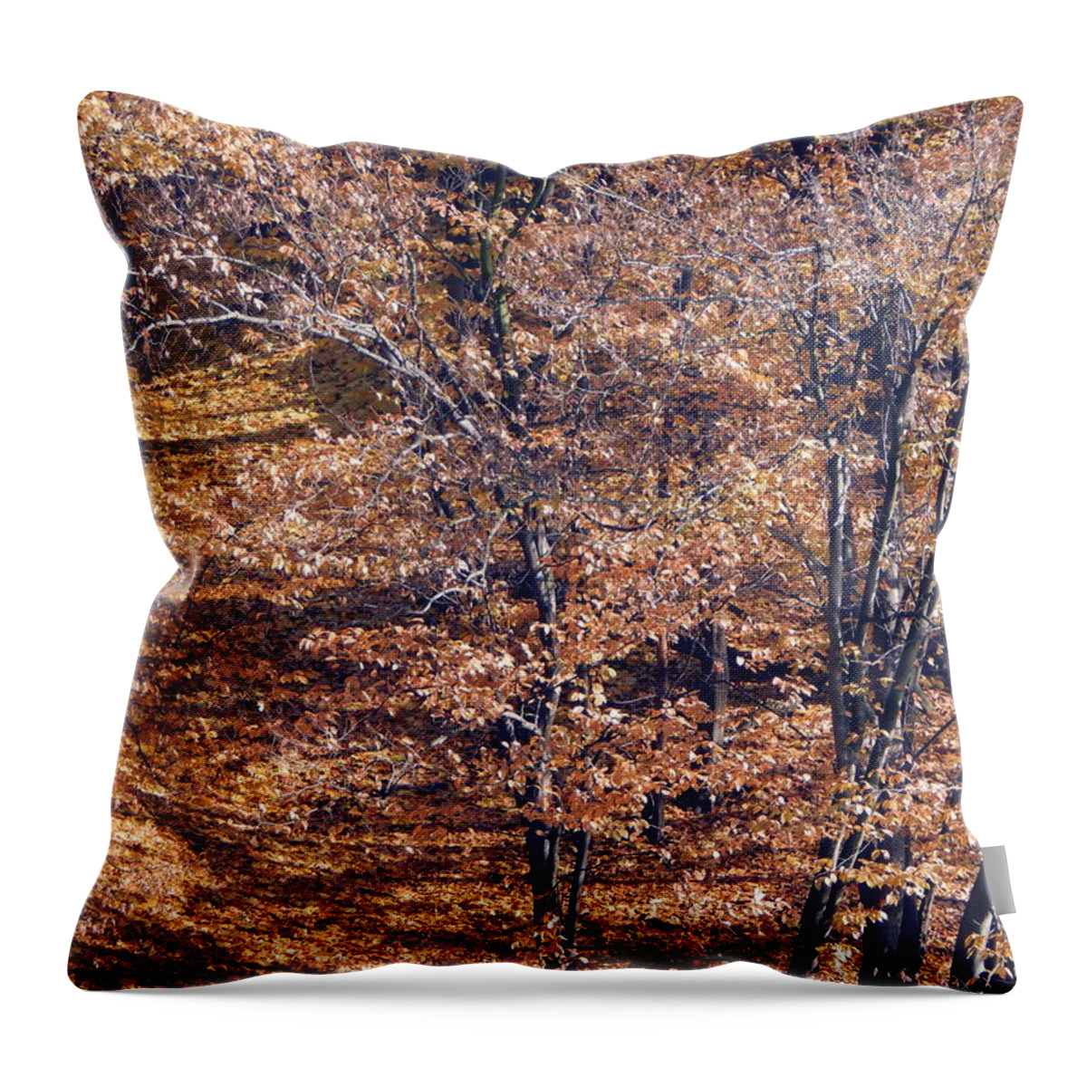 Green Throw Pillow featuring the photograph Terrain of the surface of the forest lake #1 by Oleg Prokopenko