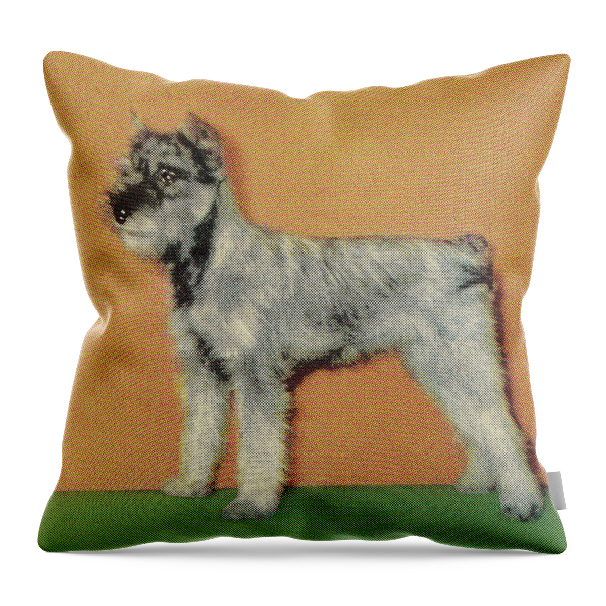 Animal Throw Pillow featuring the drawing Terrier #1 by CSA Images