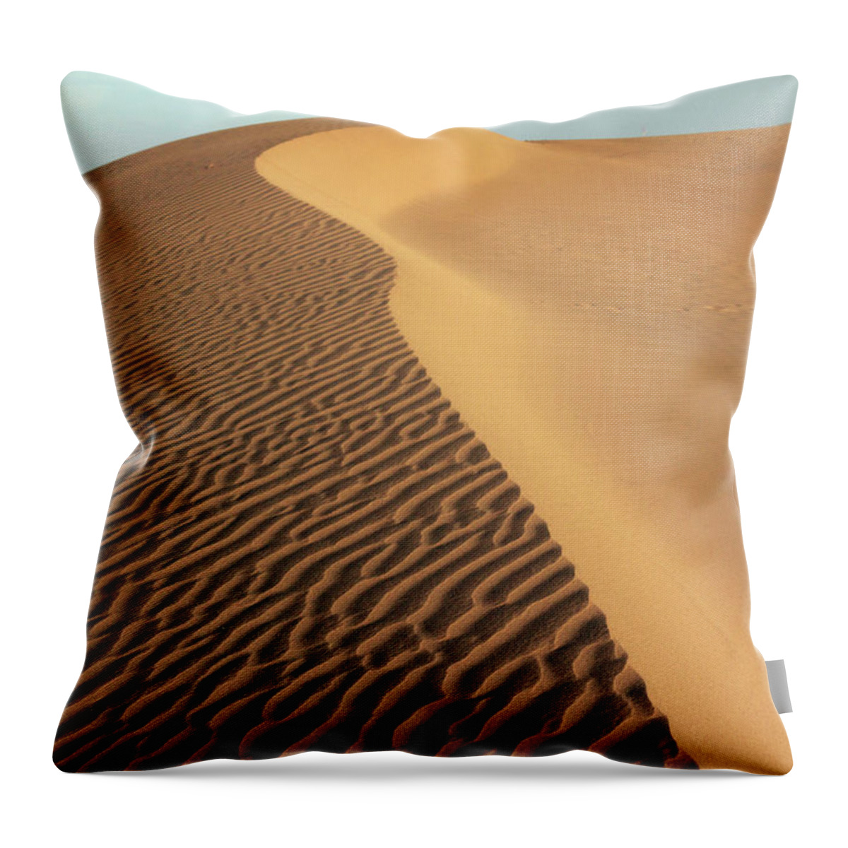 Jaisalmer Throw Pillow featuring the photograph Thar Desert, Jaisalmer #1 by Milind Torney