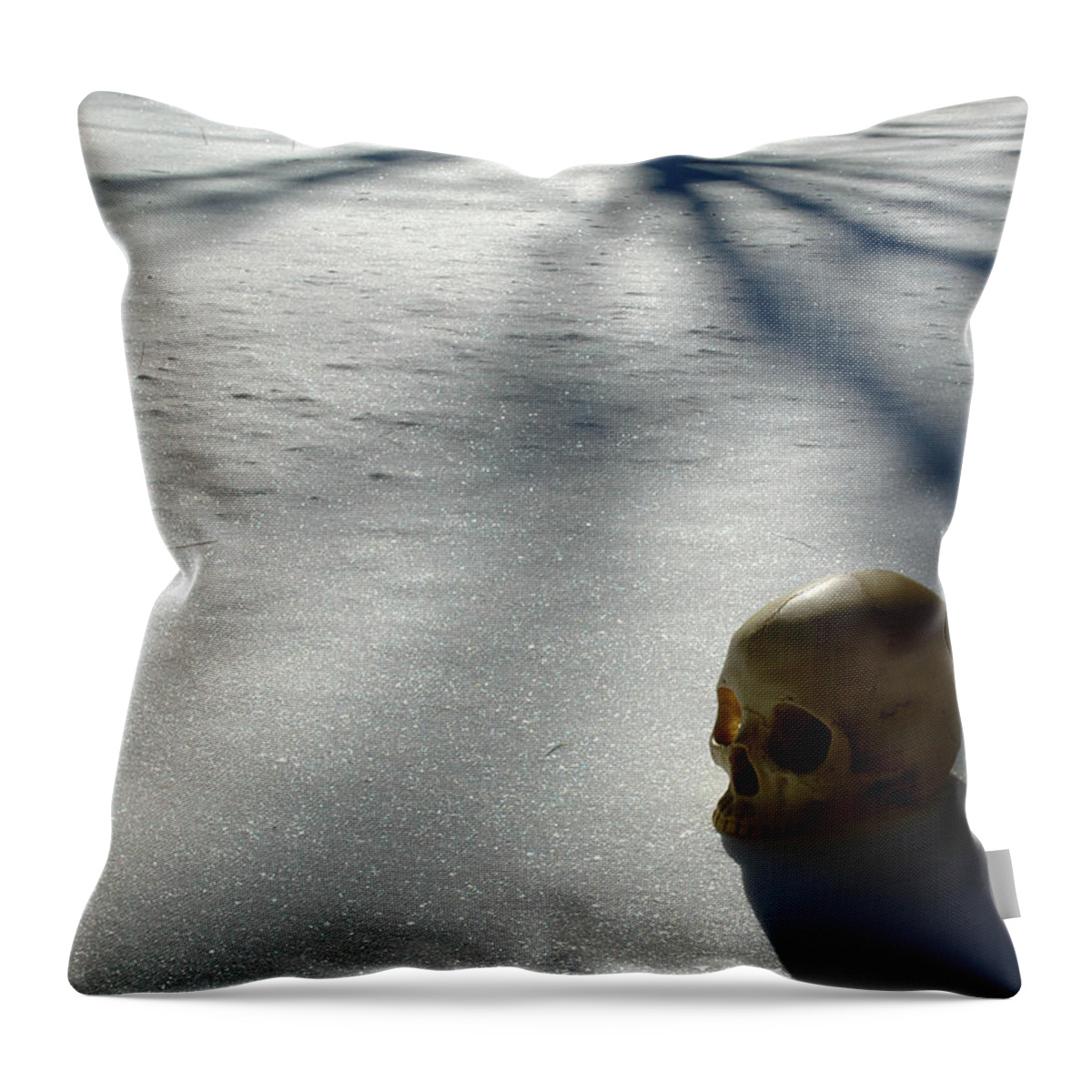  Throw Pillow featuring the photograph The Dead of Winter #1 by Rein Nomm
