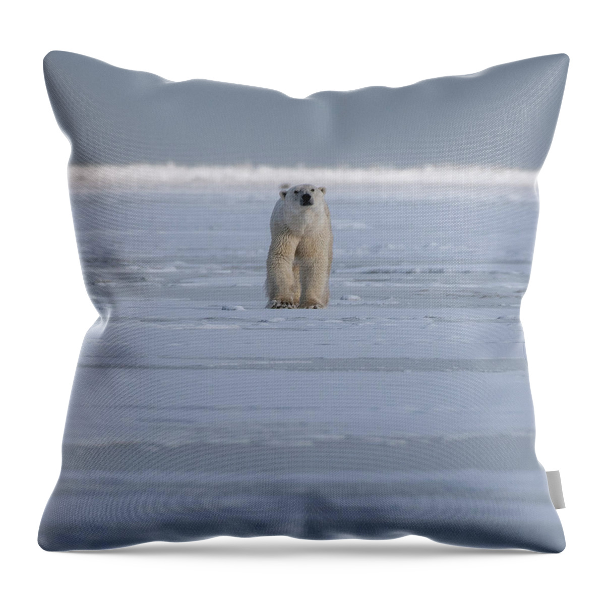 Bear Throw Pillow featuring the photograph The Stare #1 by Mark Hunter