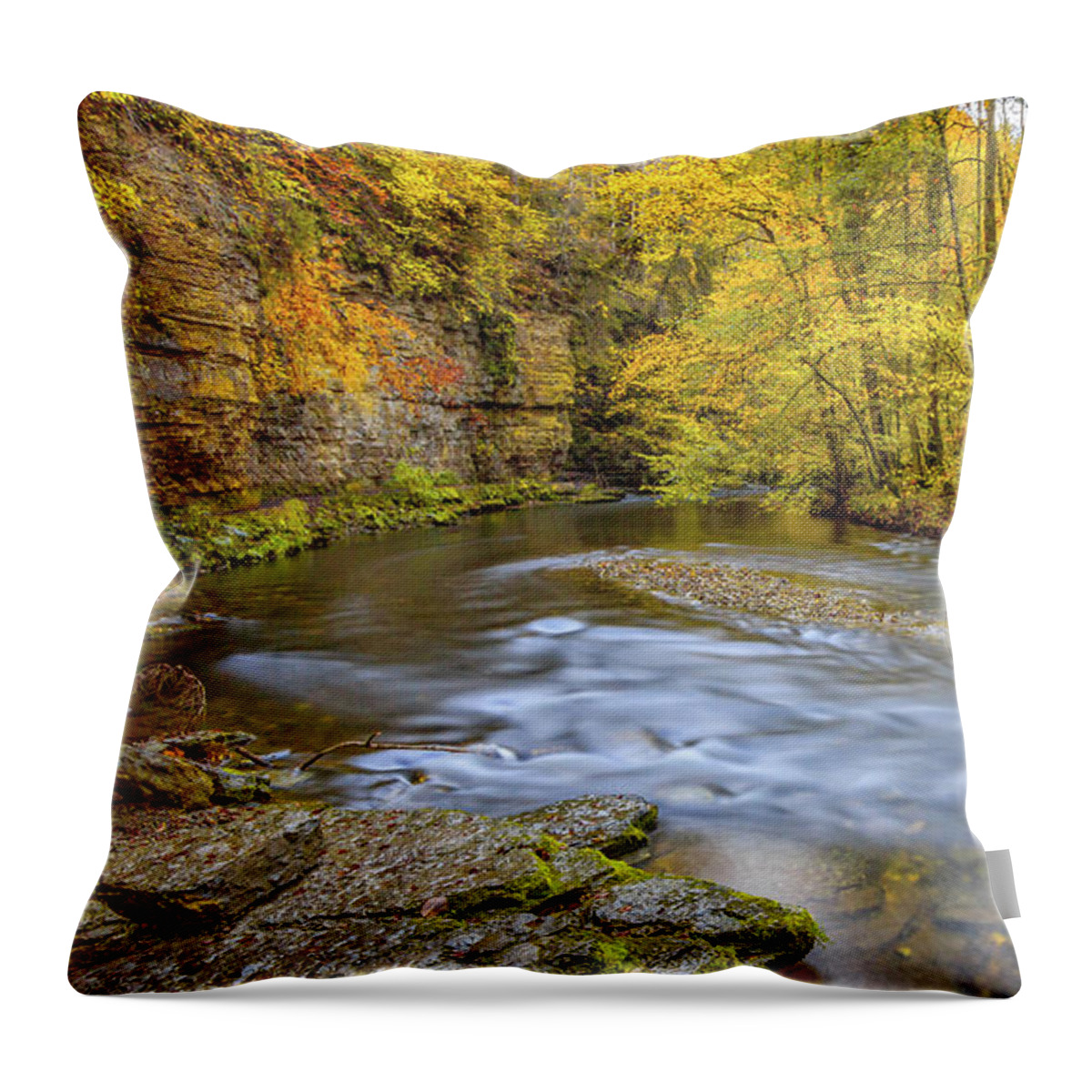 Wutach-gorge Throw Pillow featuring the photograph The Wutach Gorge #2 by Bernd Laeschke