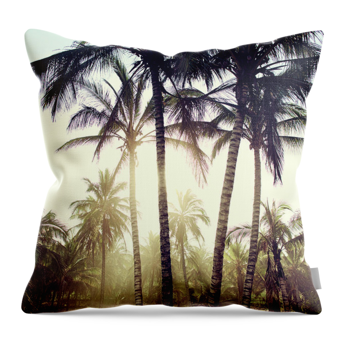 Surfing Throw Pillow featuring the photograph Ticla Palms #1 by Nik West