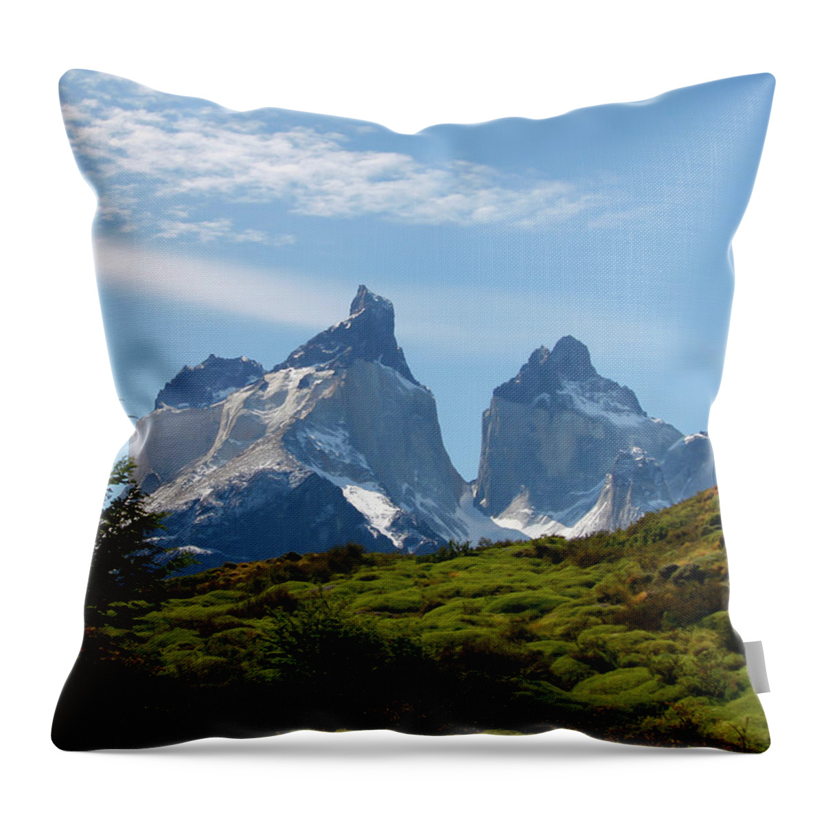Majestic Throw Pillow featuring the photograph Torres Del Paigne Mountains Chile #1 by Doug88888