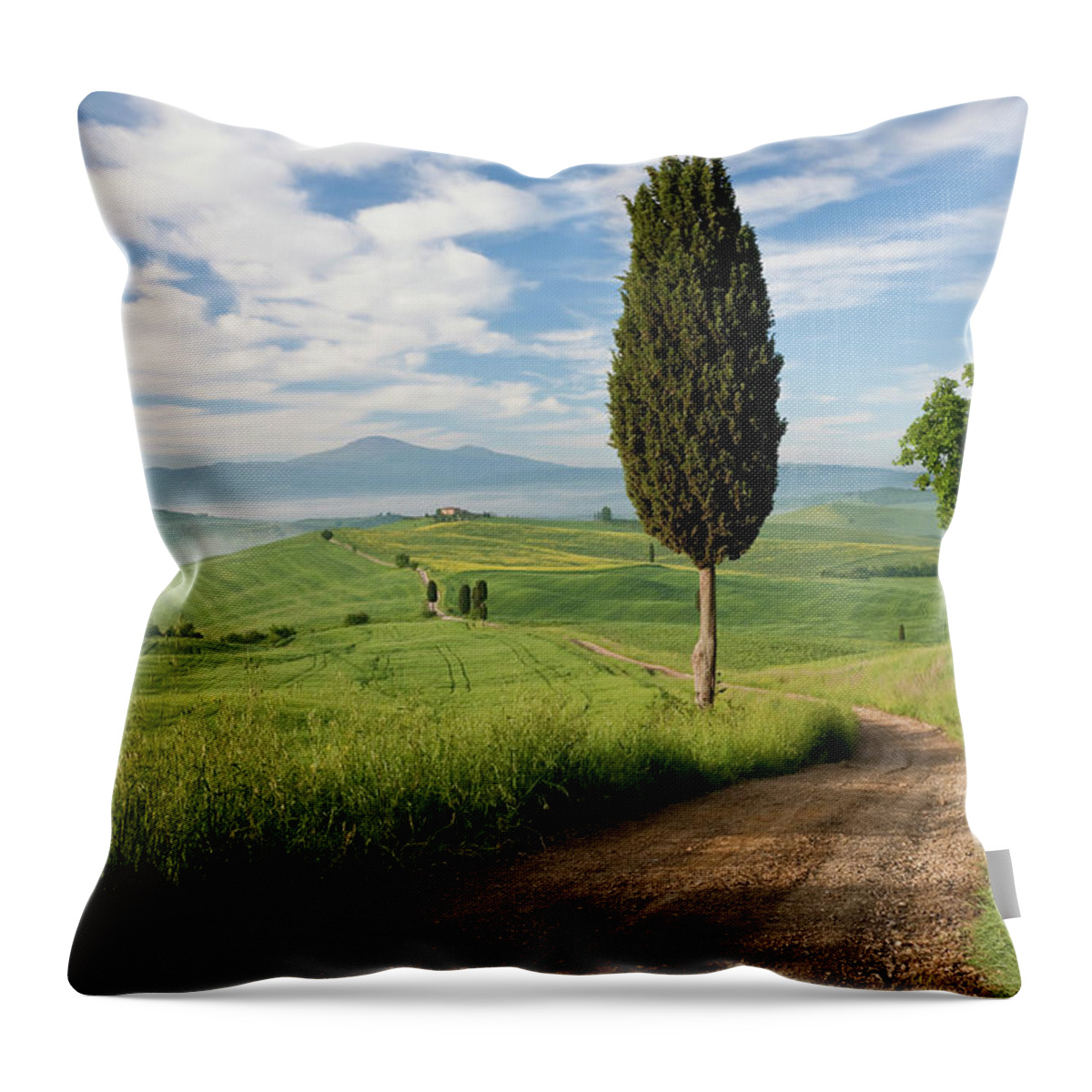 Tranquility Throw Pillow featuring the photograph Track, San Quirico Dorcia, Val Dorcia #1 by Peter Adams
