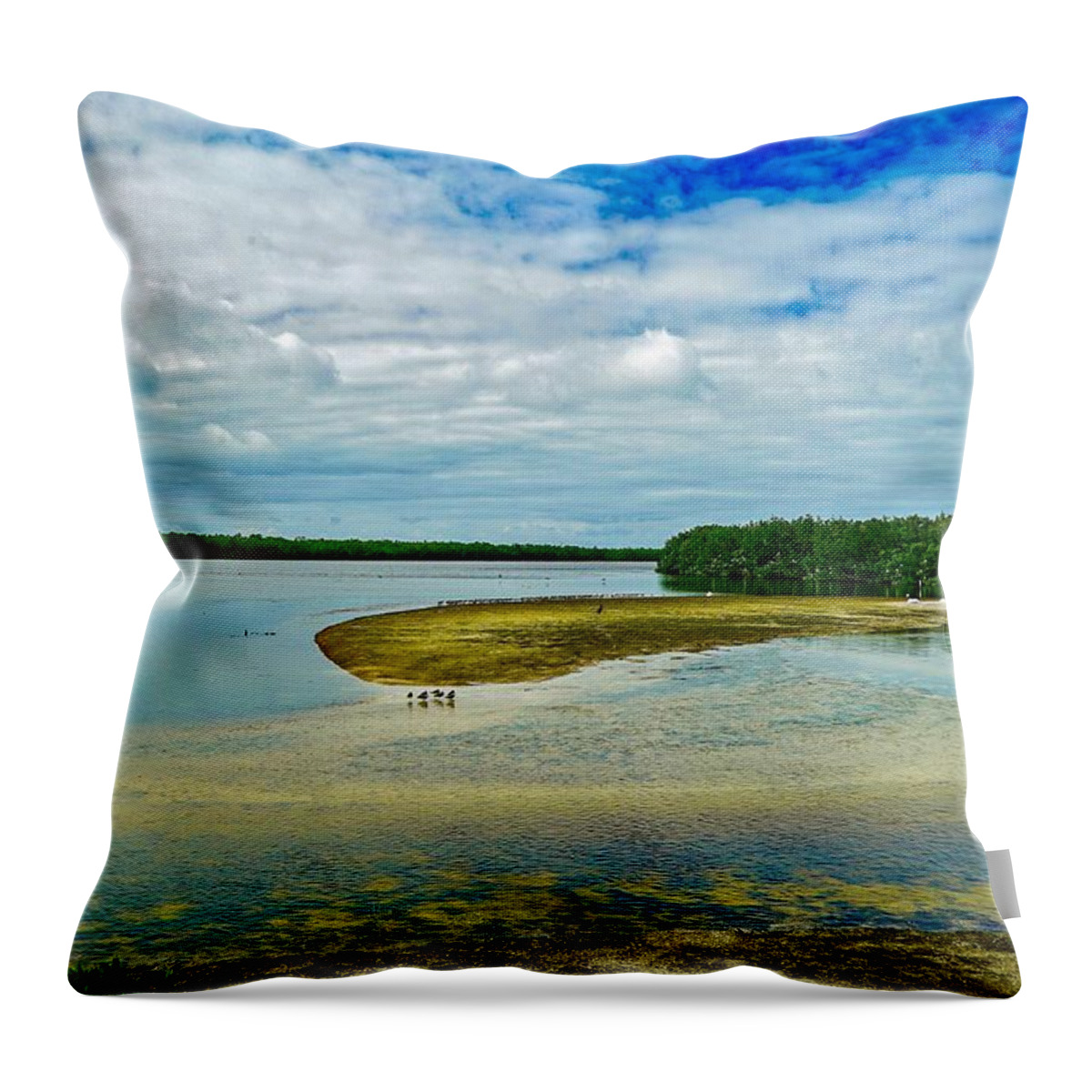 Lake Throw Pillow featuring the photograph Wildlife Refuge On Sanibel Island #1 by Susan Rydberg