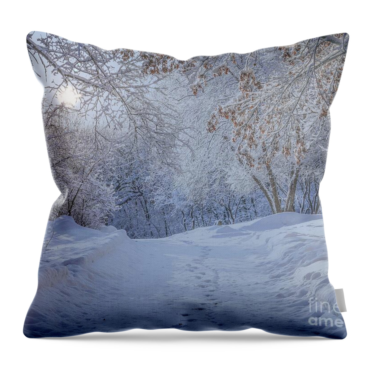 Winter Throw Pillow featuring the photograph Winter Wonderland by Susan Rydberg