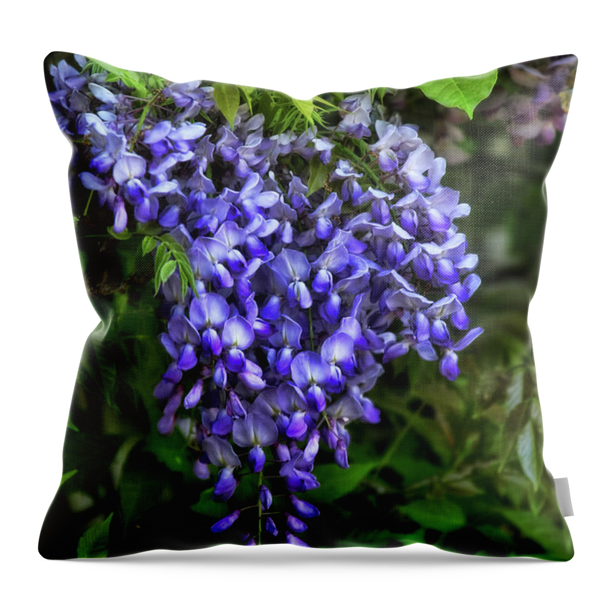 Wisteria Throw Pillow featuring the photograph Wisteria by Joan Bertucci