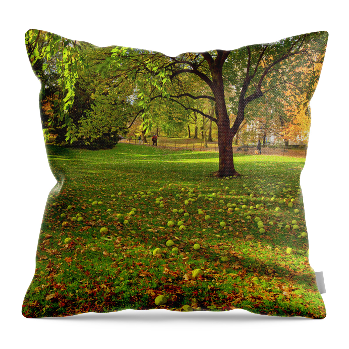 Estock Throw Pillow featuring the digital art Autumn In Central Park, Manhattan #11 by Claudia Uripos