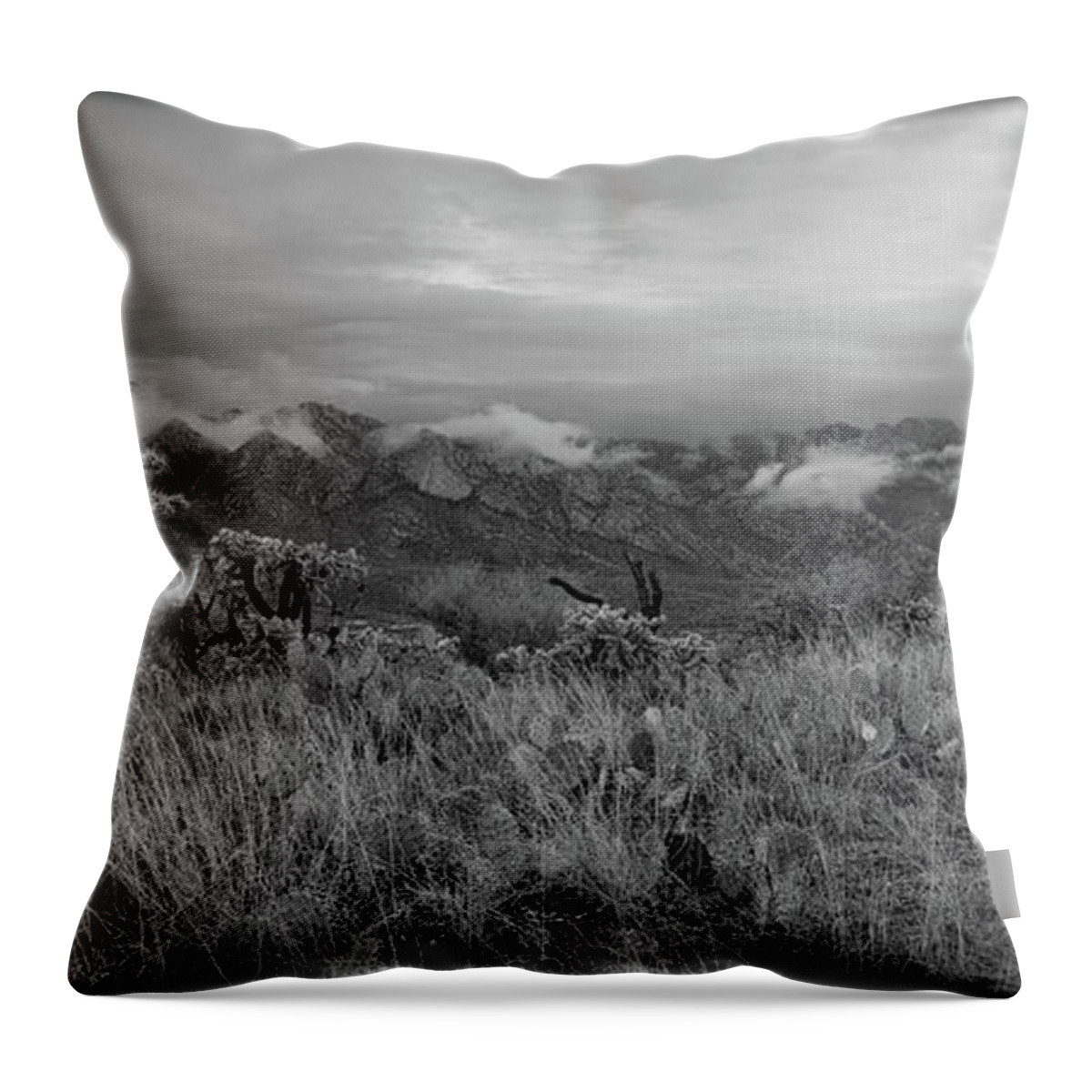 Mountains Throw Pillow featuring the photograph 12-26-18 Snow Storm by Elaine Malott