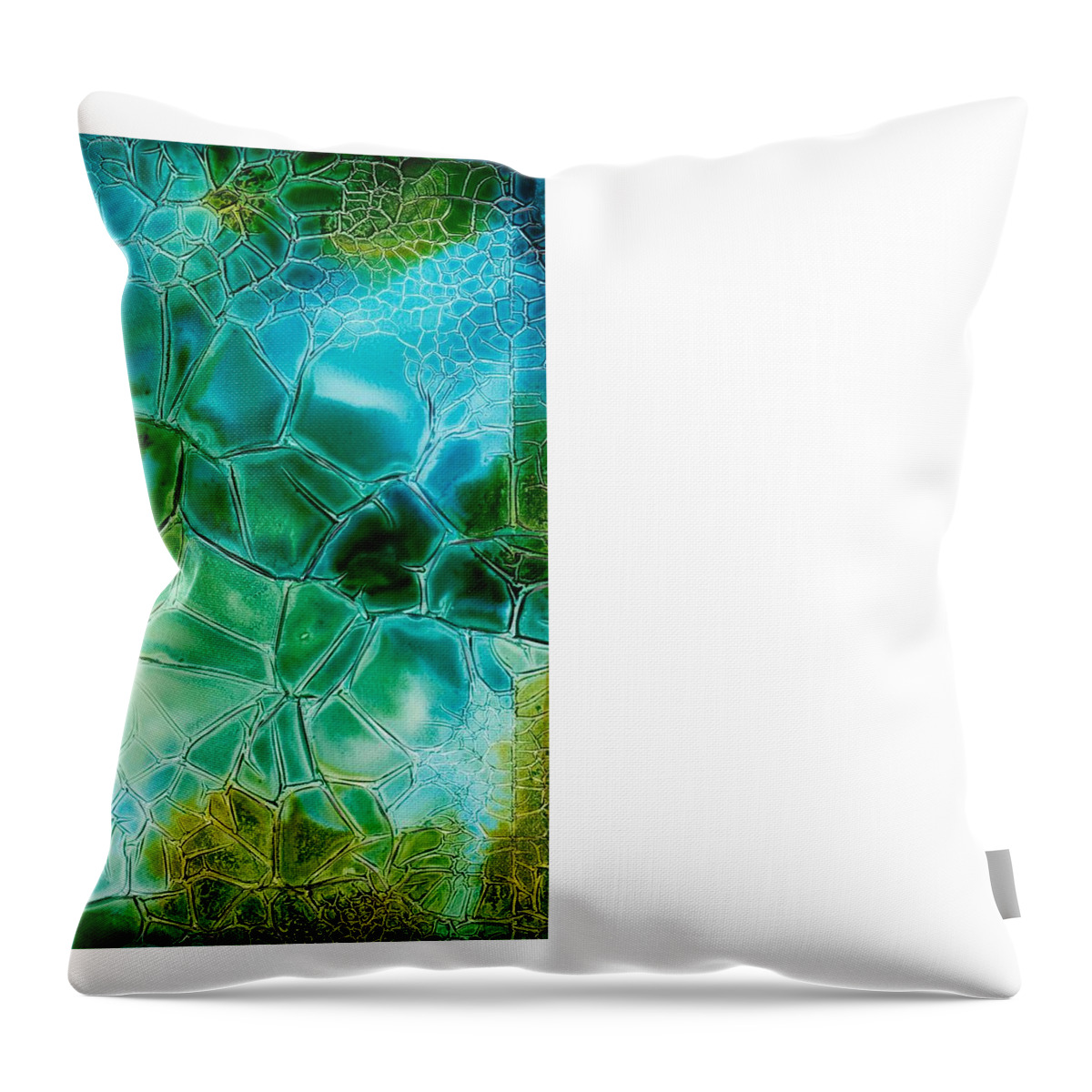 Beach Throw Pillow featuring the photograph Summer Showers by Susan Kubes