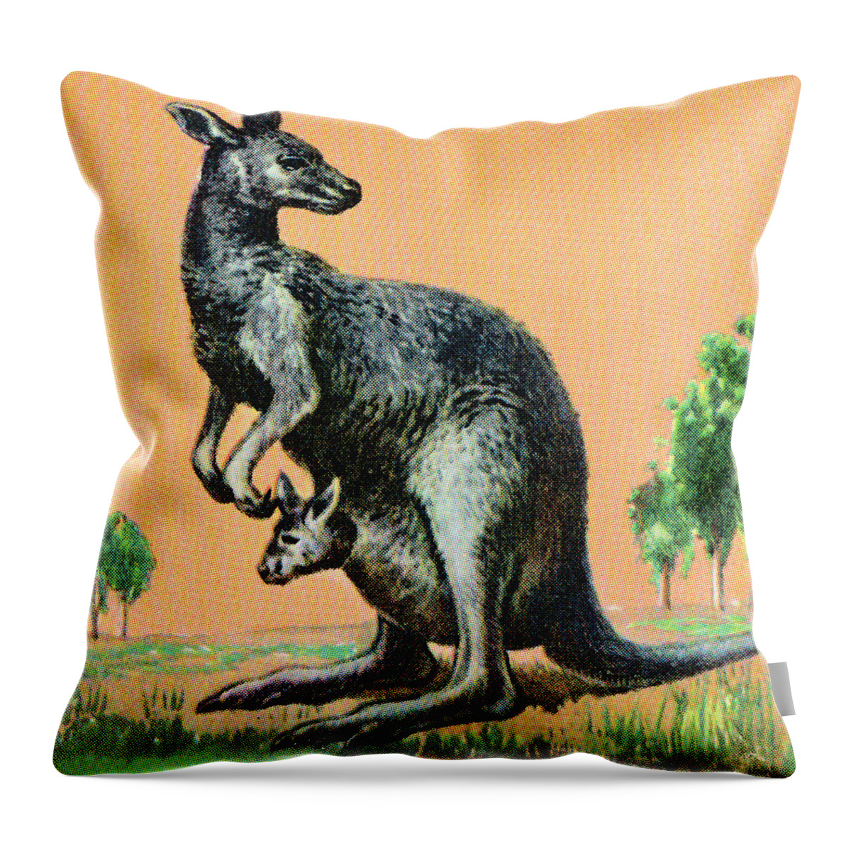 Animal Throw Pillow featuring the drawing Kangaroo #16 by CSA Images