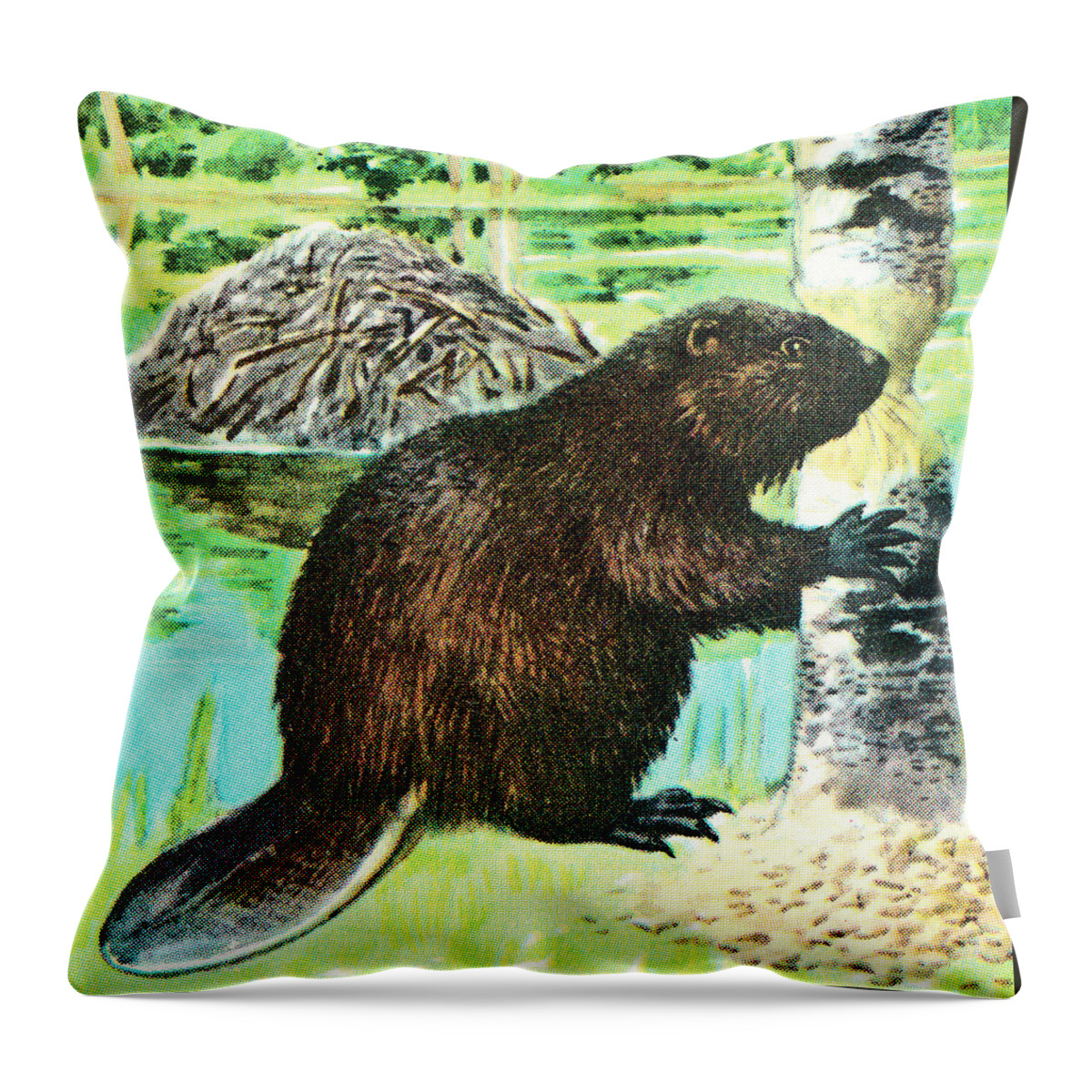 Animal Throw Pillow featuring the drawing Beaver #17 by CSA Images