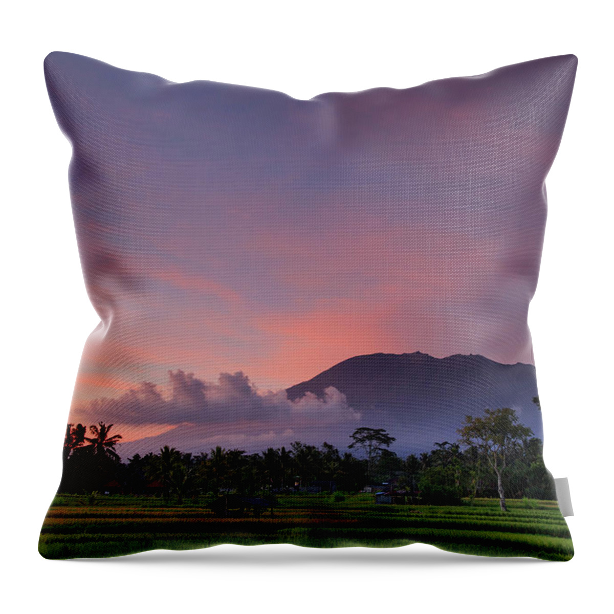Scenics Throw Pillow featuring the photograph Indonesia, Bali, Rice Fields And #19 by Michele Falzone