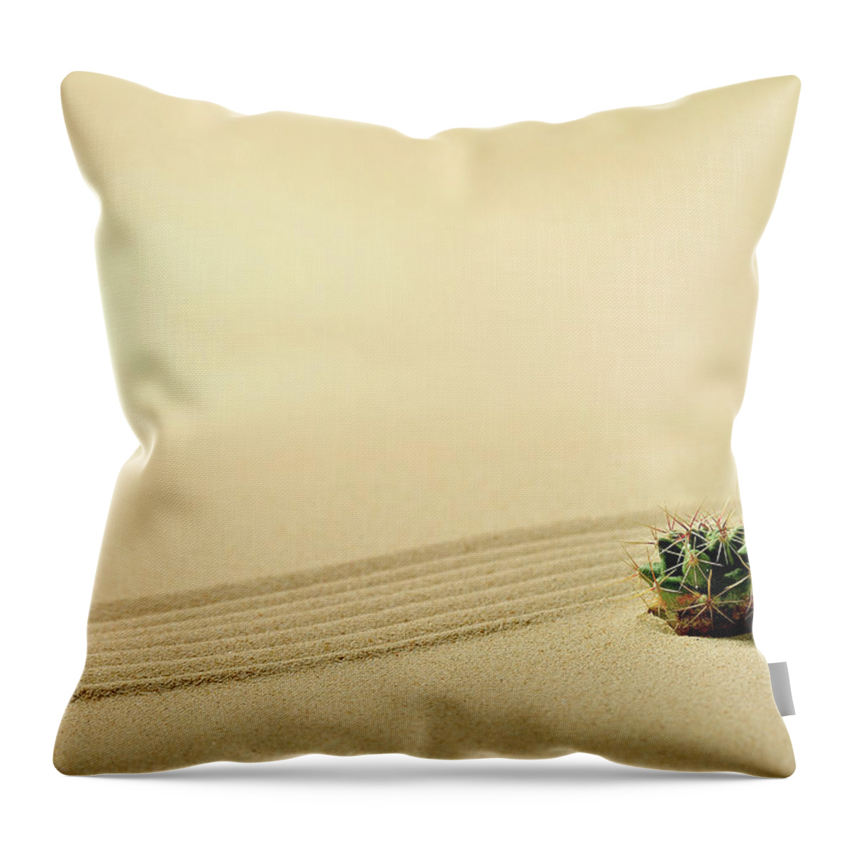 Art Throw Pillow featuring the photograph A Cactus And Wave Pattern In The Sand #2 by Yagi Studio