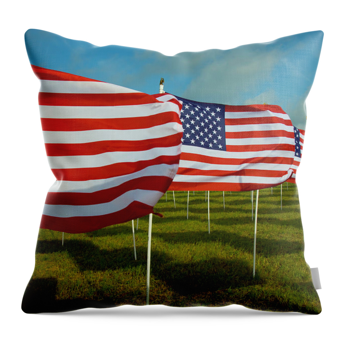 Wind Throw Pillow featuring the photograph A Field Full Of Us Flags #2 by Donovan Reese