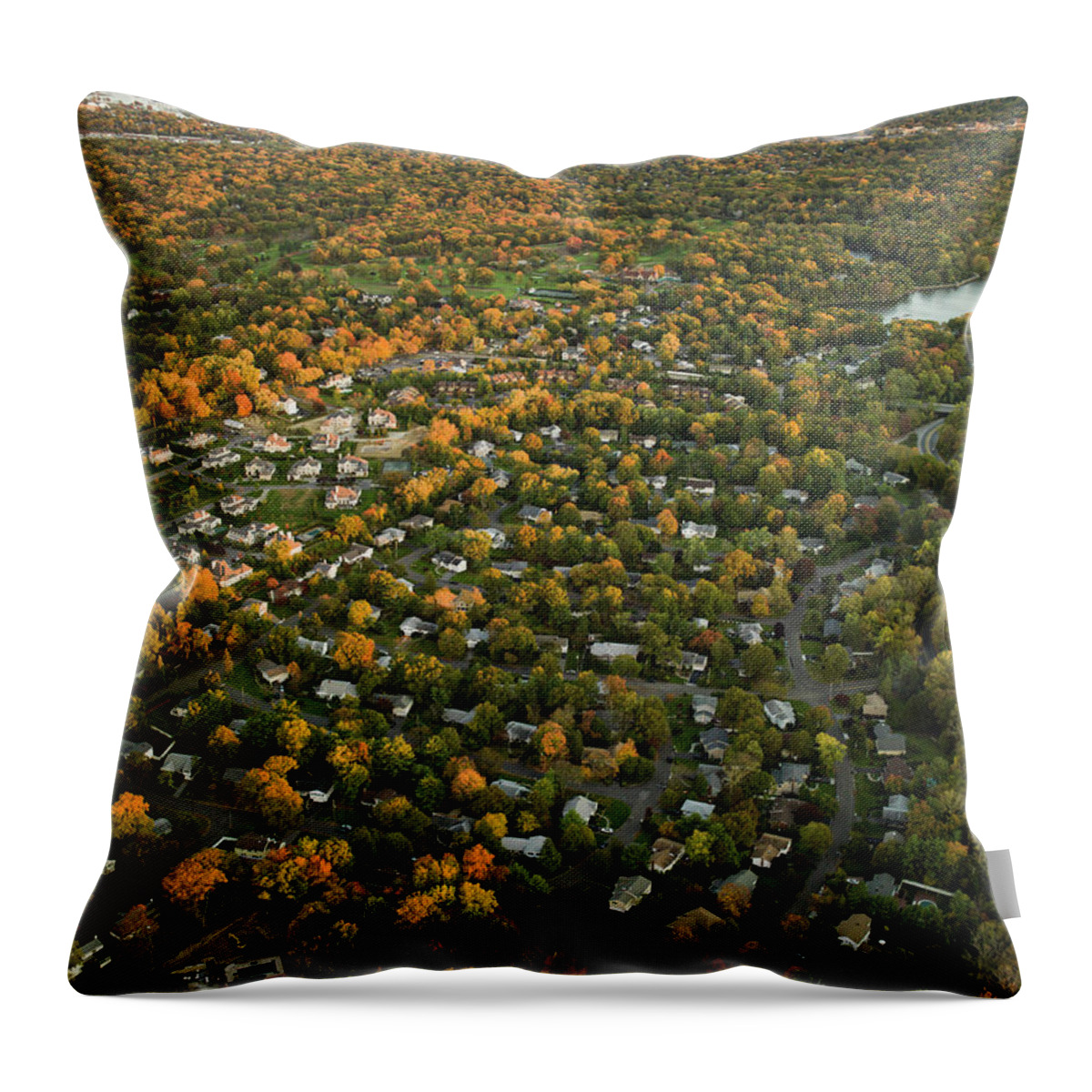 Scenics Throw Pillow featuring the photograph Aerial Photography Of Suburbs, Ny #2 by Michael H