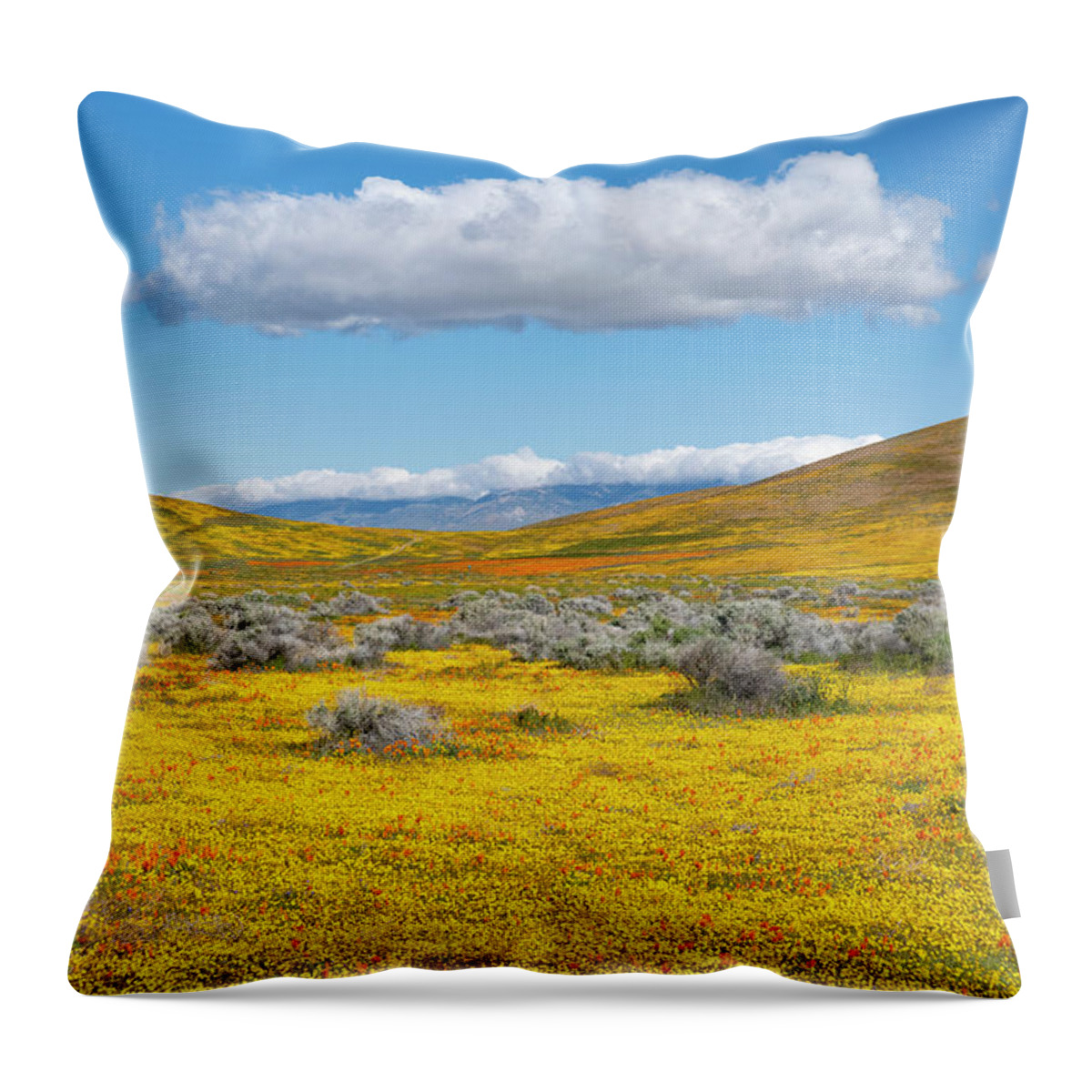 Jeff Foott Throw Pillow featuring the photograph Antelope Valley Super Bloom #2 by Jeff Foott