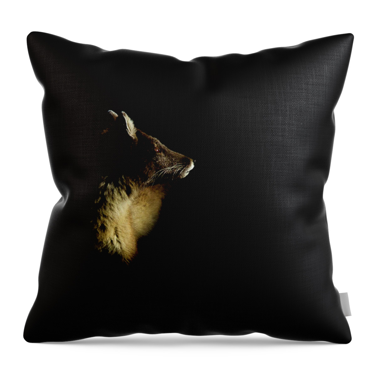 Svalbard Islands Throw Pillow featuring the photograph Arctic Fox Vulpes Lagopus #2 by Mark Smith