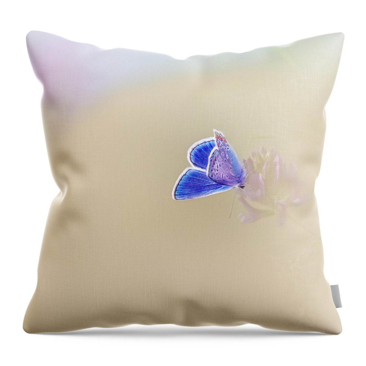 Butterfly Throw Pillow featuring the photograph Around The Meadow 2 #1 by Jaroslav Buna