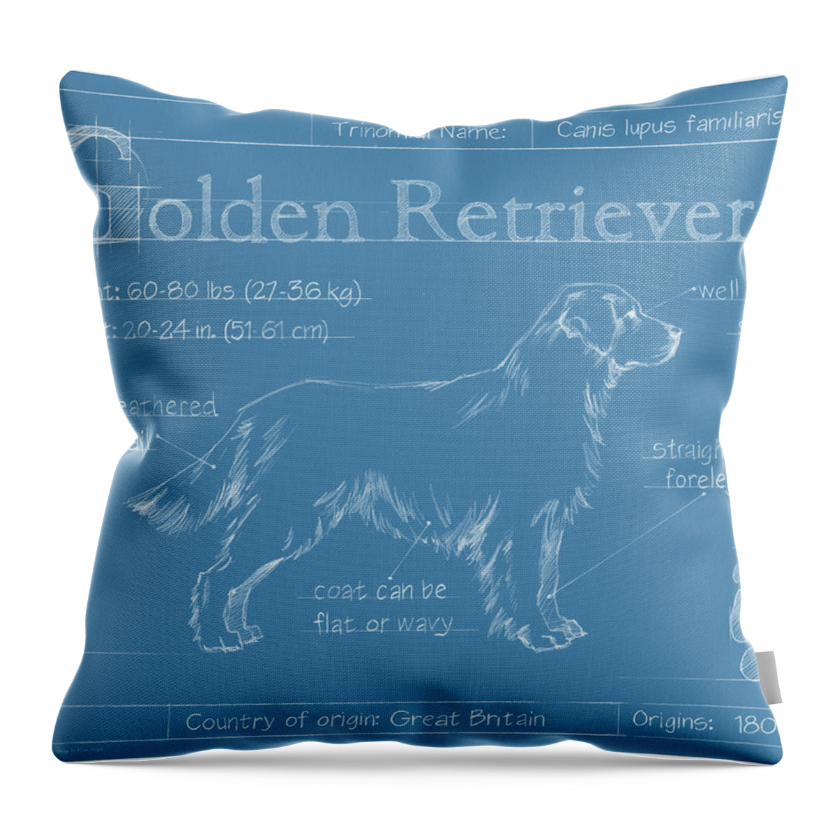 Dogs Throw Pillow featuring the painting Blueprint Golden Retriever #2 by Ethan Harper