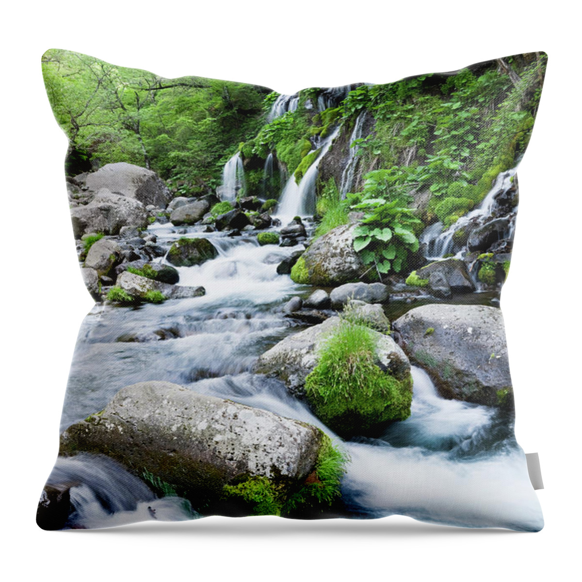 Scenics Throw Pillow featuring the photograph Cascade #2 by Ooyoo