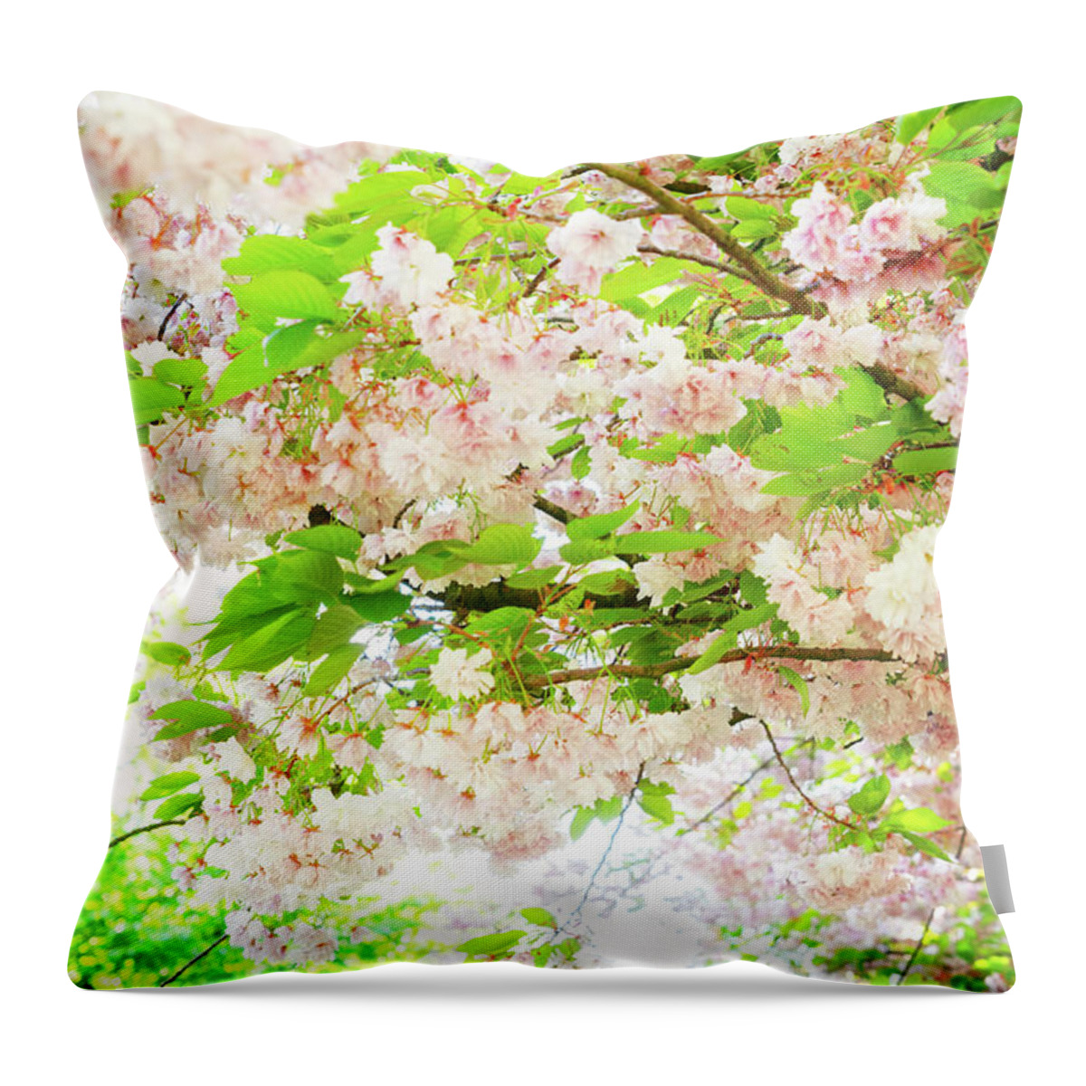 Background Throw Pillow featuring the photograph Cherry tree blossom #3 by Anastasy Yarmolovich