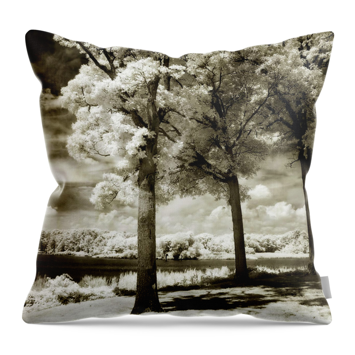 Infrared Throw Pillow featuring the photograph Cobb Island Channel -2 #2 by Alan Hausenflock