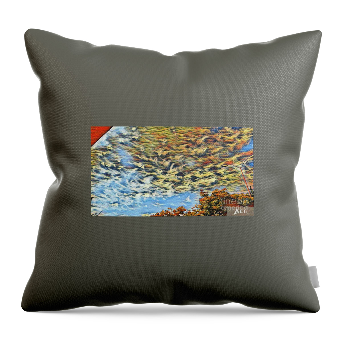 Clouds Throw Pillow featuring the photograph Colorful sky #2 by Steven Wills