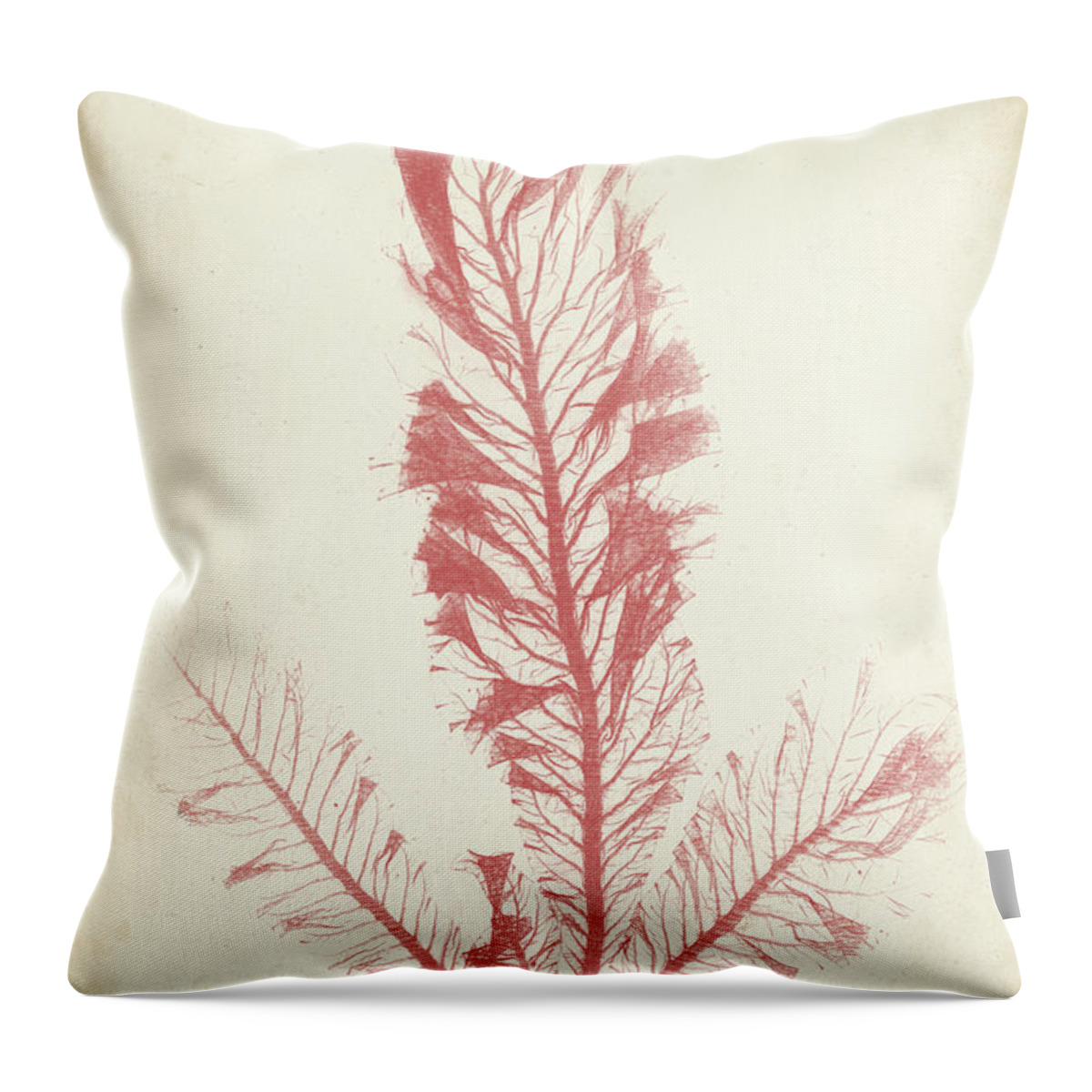 Coastal Throw Pillow featuring the painting Coral Sea Feather I #2 by Henry Bradbury